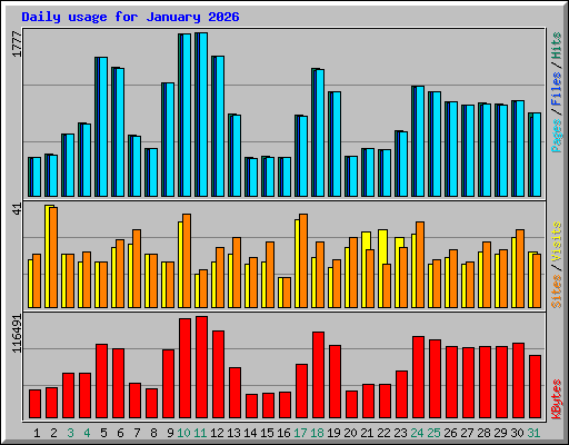 Daily usage for January 2026