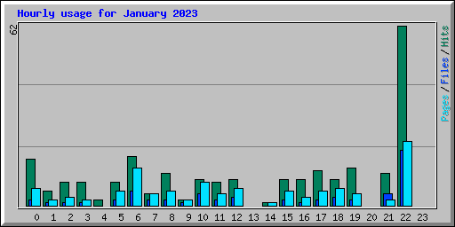 Hourly usage for January 2023