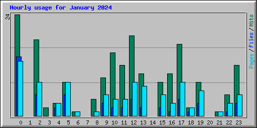 Hourly usage for January 2024
