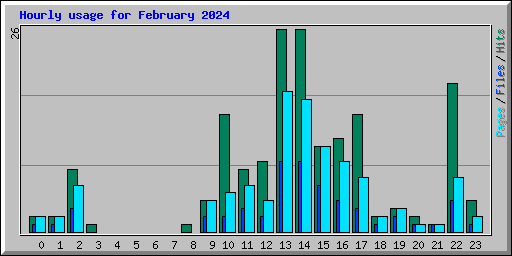 Hourly usage for February 2024