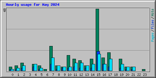 Hourly usage for May 2024