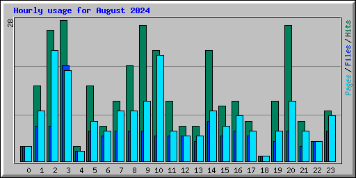 Hourly usage for August 2024