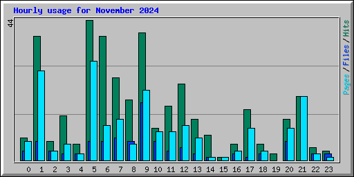 Hourly usage for November 2024