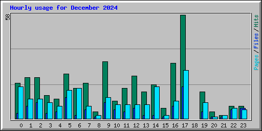 Hourly usage for December 2024