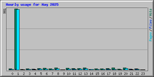 Hourly usage for May 2025
