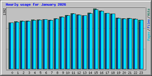 Hourly usage for January 2026