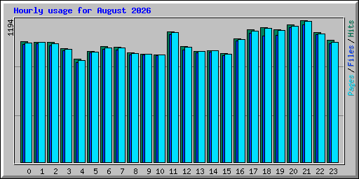 Hourly usage for August 2026